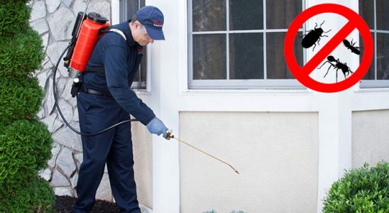Başakşehir Gümüşkurt İlaçlama böcek ilaçlama ve haşere kontrolü — ilaclama-tr.com